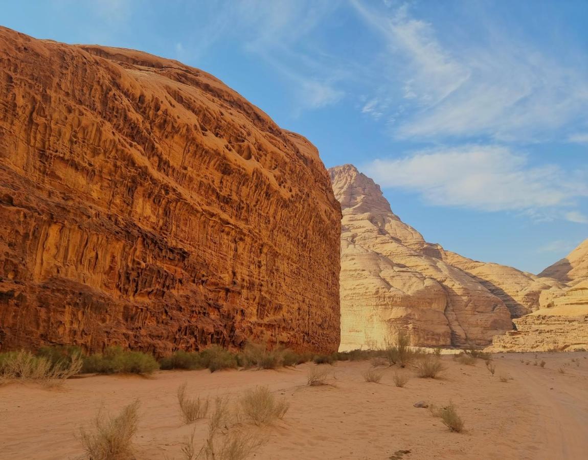 ホテル Desert Knights Camp ワディ ・ラム エクステリア 写真